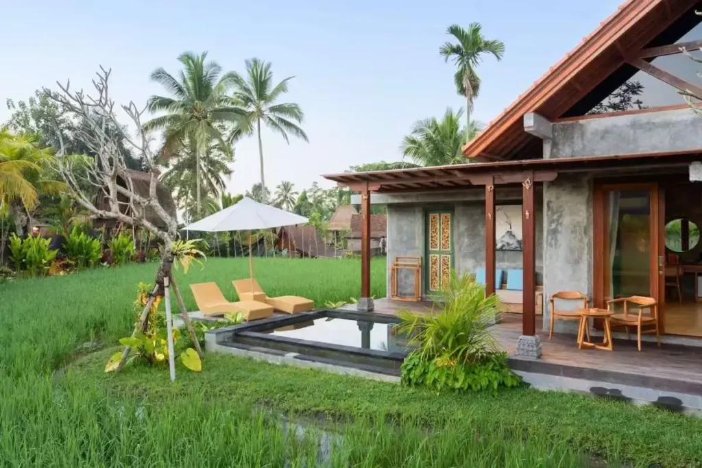 Asiki Private Pool Rice Field View The Villa Architecture